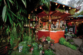Weihnachtsmarkt im Stadtgarten