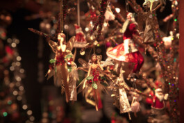 Weihnachtsmarkt im Stadtgarten