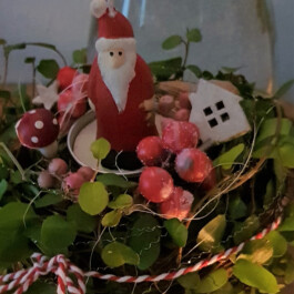  Weihnachtsmarkt im Stadtgarten