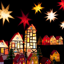  Weihnachtsmarkt im Stadtgarten