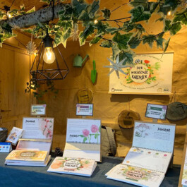  Weihnachtsmarkt im Stadtgarten