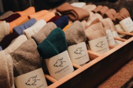 Weihnachtsmarkt im Stadtgarten