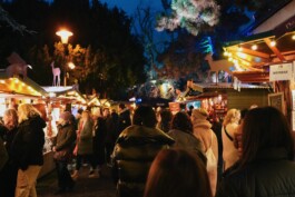 Weihnachtsmarkt im Stadtgarten