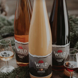  Weihnachtsmarkt im Stadtgarten