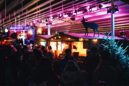 Weihnachtsmarkt im Stadtgarten